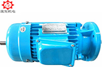 按需定制，東莞電機！