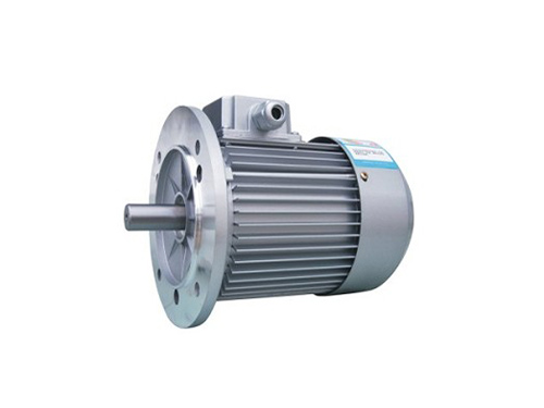 YS系列三相異步電動(dòng)機(jī)